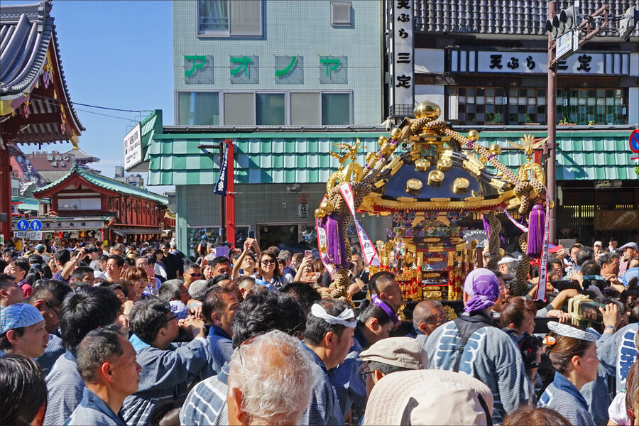 Sanja Matsuri bearers wearing matching blue happi jackets