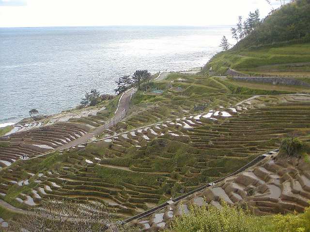 Flooded Senmaida rice paddies reflecting sky in spring planting season