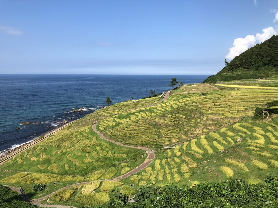 Shiroyone Senmaida rice terraces stepping down to the Sea of Japan