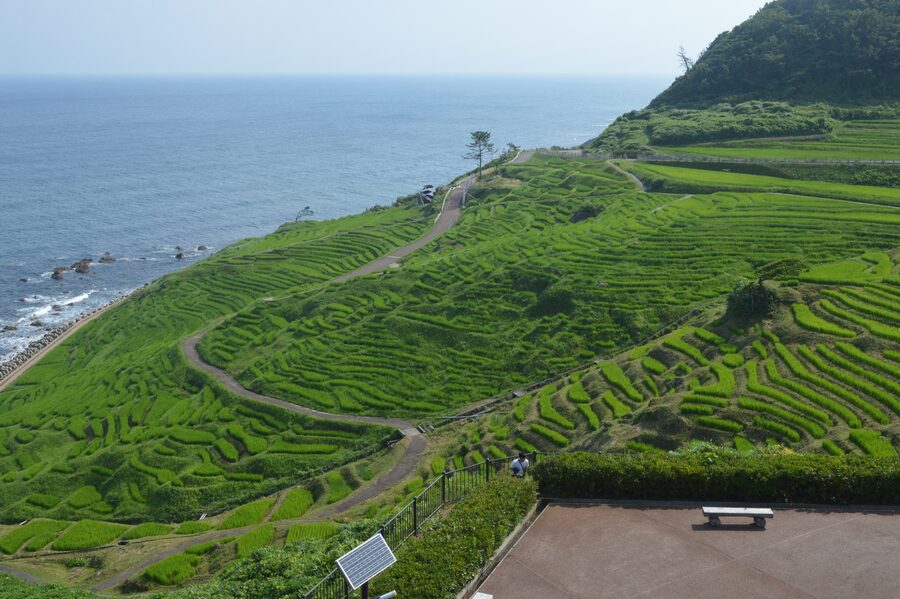 Senmaida rice terraces on a steep slope with the Sea of Japan beyond