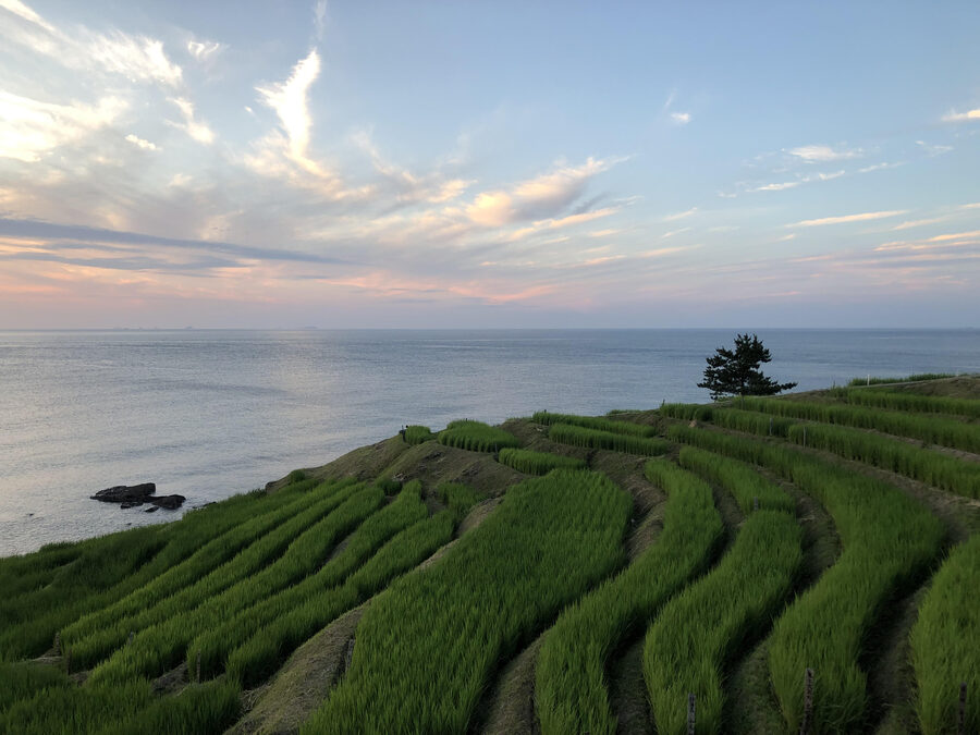 Senmaida thousand rice paddies at dusk with the Sea of Japan in the distance