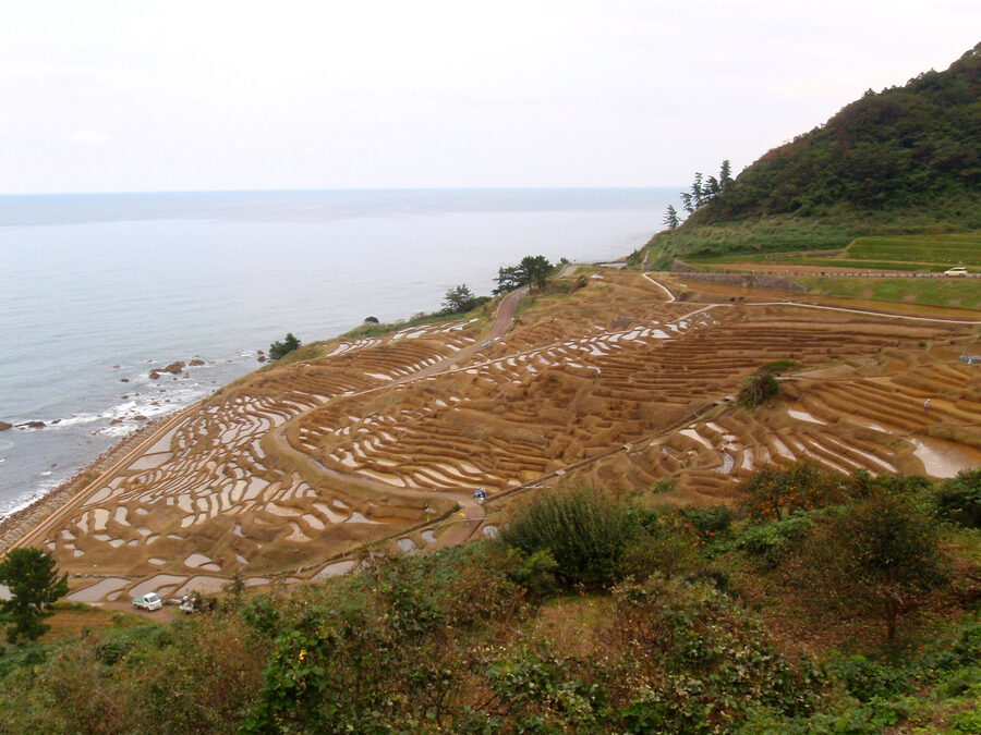 Senmaida terraces stepping down a hillside on the Noto Peninsula