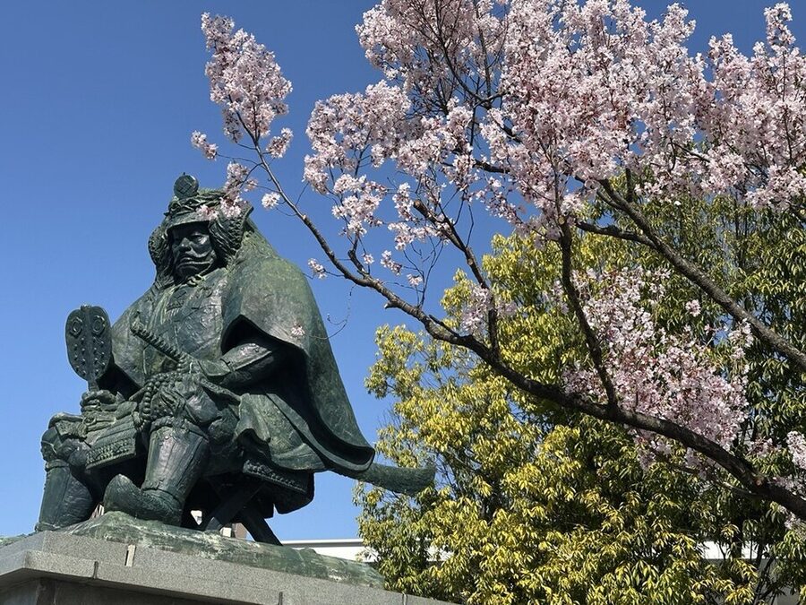 Bronze seated Takeda Shingen statue at the south exit of Kofu Station during cherry blossom season
