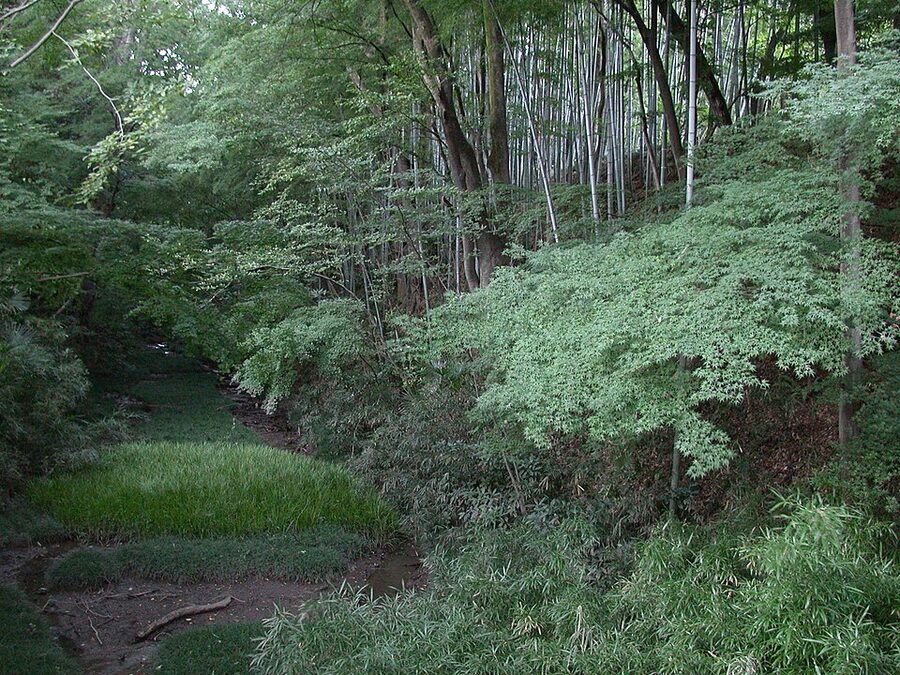 Surviving water moat of the Tsutsujigasaki yakata residential compound inside Takeda Shrine Kofu