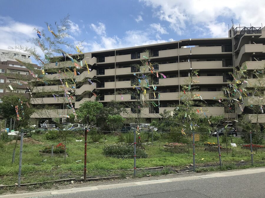 Bamboo stalks set up with Tanabata decorations