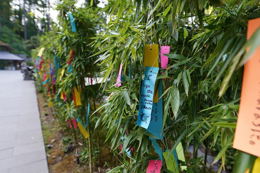Tanzaku paper wishes tied to a bamboo branch