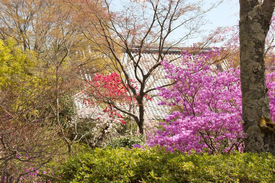Arashiyama mountain forming borrowed scenery for Tenryu-ji