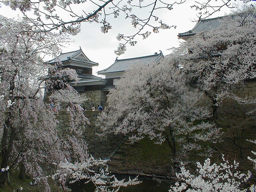 Spring view of Ueda Castle main yagura turret in Nagano Prefecture, 40,000-koku base of the Sanada clan