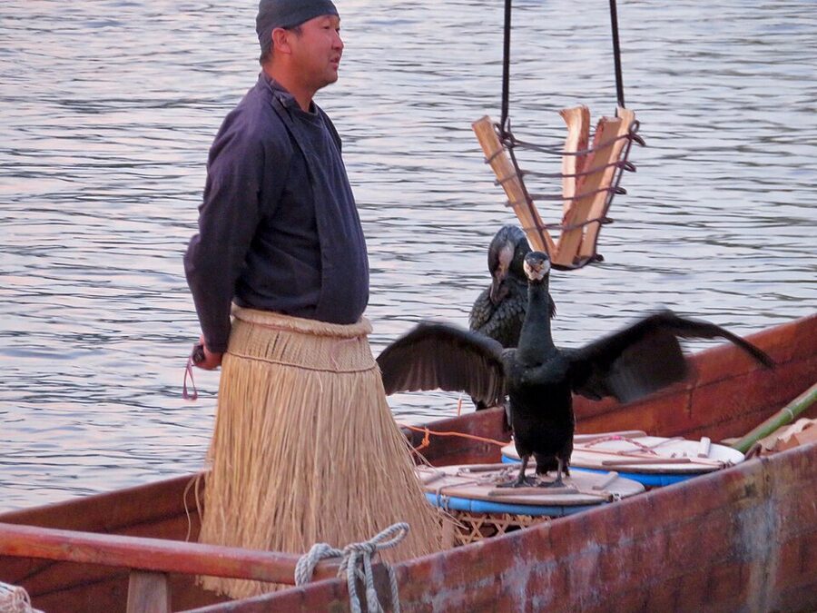 Usho fishing master in full traditional dress including kazaori-eboshi headpiece and grass skirt explains ukai to waiting spectators with cormorants standing beside him, Kiso River Inuyama