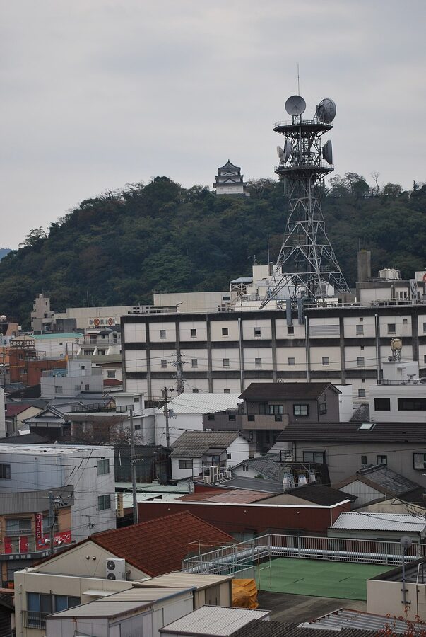 The tenshu of Uwajima Castle photographed from the Ryukoin temple grounds
