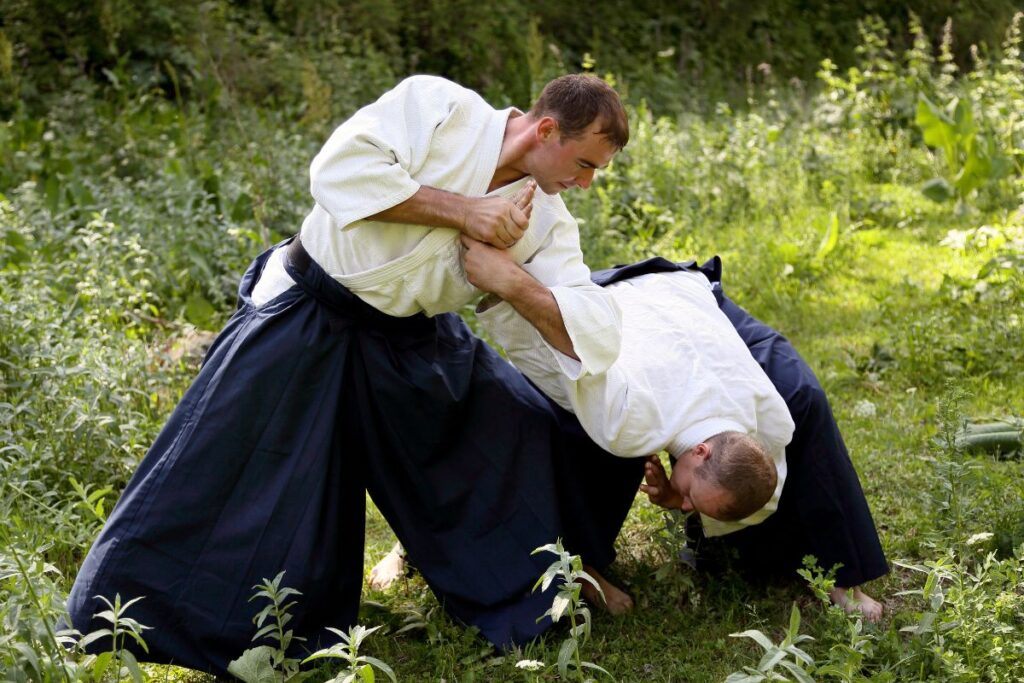 The Martial Art Of Aikido Japan World