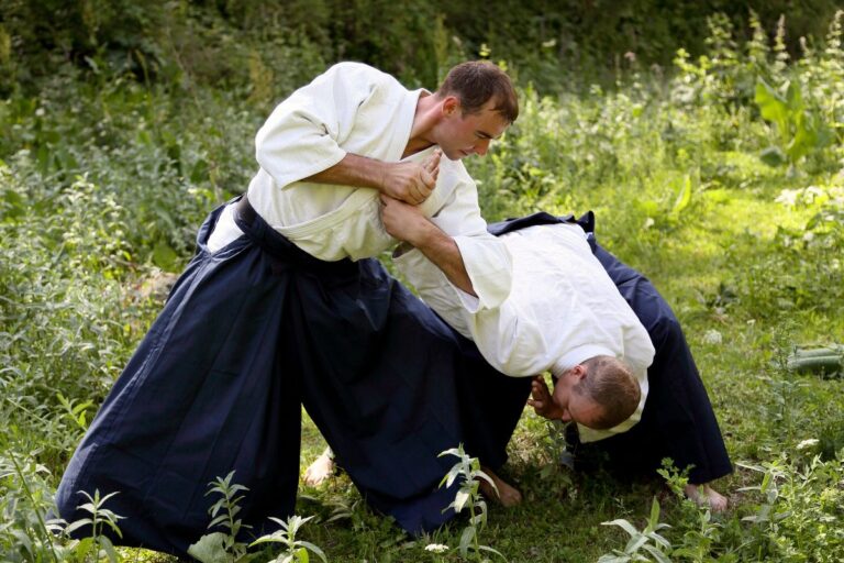 The Martial Art Of Aikido